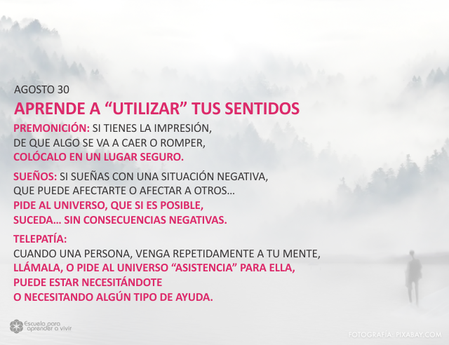 Aprende a utilizar tus sentidos